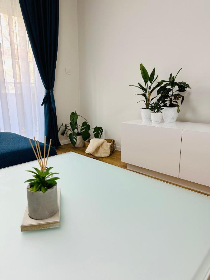 Daylight Appartement